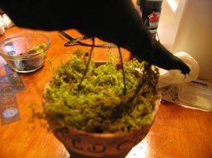 stick-crows-legs-into-foam