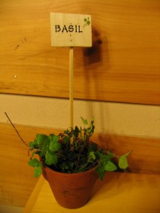 plant-markers1