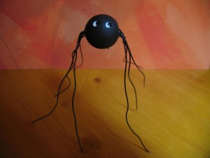close up spider