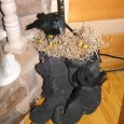 <!-- AddThis Share Buttons above via filter on get_the_excerpt -->
<div class="at-above-post-arch-page" data-url="http://www.not2crafty.com/2009/09/halloween-decorating-crows/" data-title="Halloween decorating with crows."></div>
  
I love crows and always enjoy using them to decorate for Halloween.  This year the Dollar Store had several different styles of crows and they were only a [...]<!-- AddThis Share Buttons below via filter on get_the_excerpt -->
<div class="at-below-post-arch-page" data-url="http://www.not2crafty.com/2009/09/halloween-decorating-crows/" data-title="Halloween decorating with crows."></div><!-- AddThis Share Buttons generic via filter on get_the_excerpt -->
<!-- AddThis Related Posts generic via filter on get_the_excerpt -->
