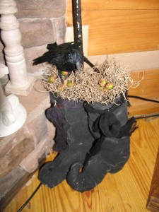 birds nest in witch boots