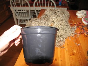 black plastic pot