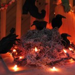 crows in a nest with lights