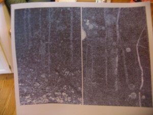 print pictures on velum paper