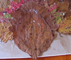 add second leaf for body
