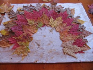 fourth row of leaves