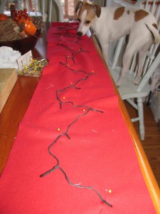 lay out lights on fleece scarf and pin in place