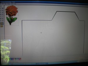 picture will show up on screen