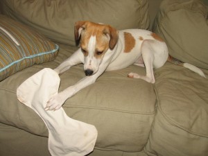 sawyer with his toy