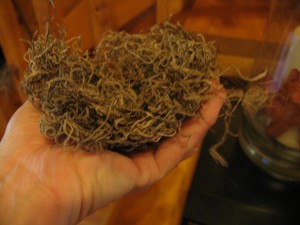 form nest in hand using moss