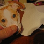 cut a piece of canvas fabric using your dogs face piece as a pattern