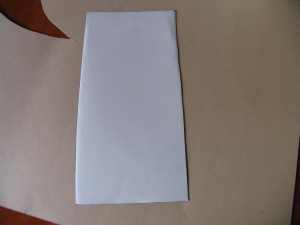 cut out twenty fibe rectangles from cardstock paper