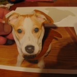 print up a picture of your mutts face using fabric paper and your printer