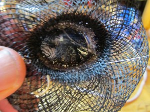 put a little glue inside hat and press some moss into the glue