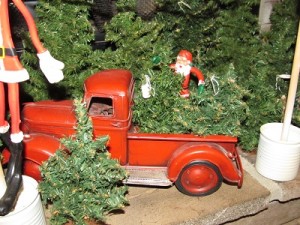 red truck with trees in back
