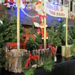 tree lot corner view