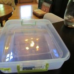 container with lid from wal mart