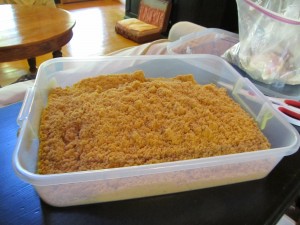 put sand in container