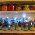 <!-- AddThis Share Buttons above via filter on get_the_excerpt -->
<div class="at-above-post-arch-page" data-url="https://www.not2crafty.com/2010/12/mason-jars-filled-christmas-picks-lights-holiday-cheer/" data-title="Mason jars filled with Christmas picks,snow, and lights for holiday cheer!"></div>
 
This is a quick and easy decoration you can do in minutes.  I used some old blue mason jars but regular ones will look good too, especially with colored [...]<!-- AddThis Share Buttons below via filter on get_the_excerpt -->
<div class="at-below-post-arch-page" data-url="https://www.not2crafty.com/2010/12/mason-jars-filled-christmas-picks-lights-holiday-cheer/" data-title="Mason jars filled with Christmas picks,snow, and lights for holiday cheer!"></div><!-- AddThis Share Buttons generic via filter on get_the_excerpt -->
<!-- AddThis Related Posts generic via filter on get_the_excerpt -->
