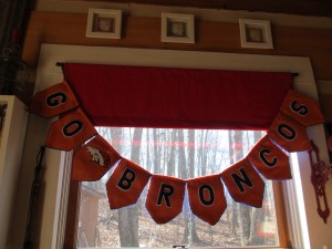 bronco banner best