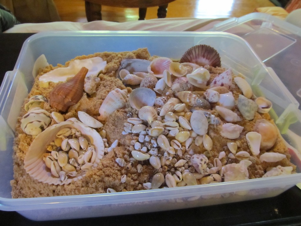 add shells